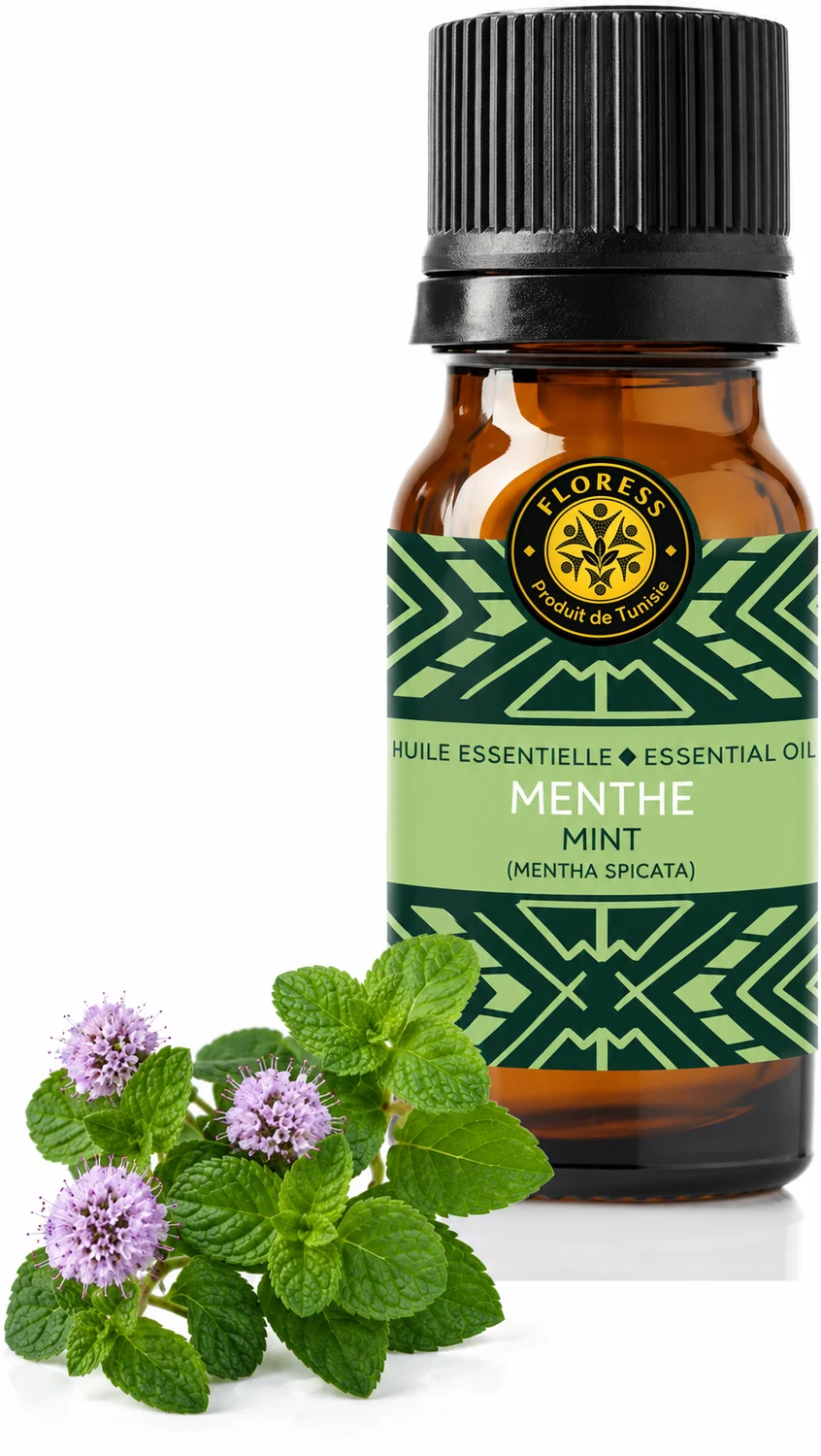 Menthe