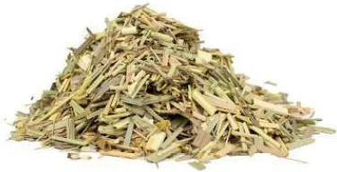 Feuilles de citronnelle
