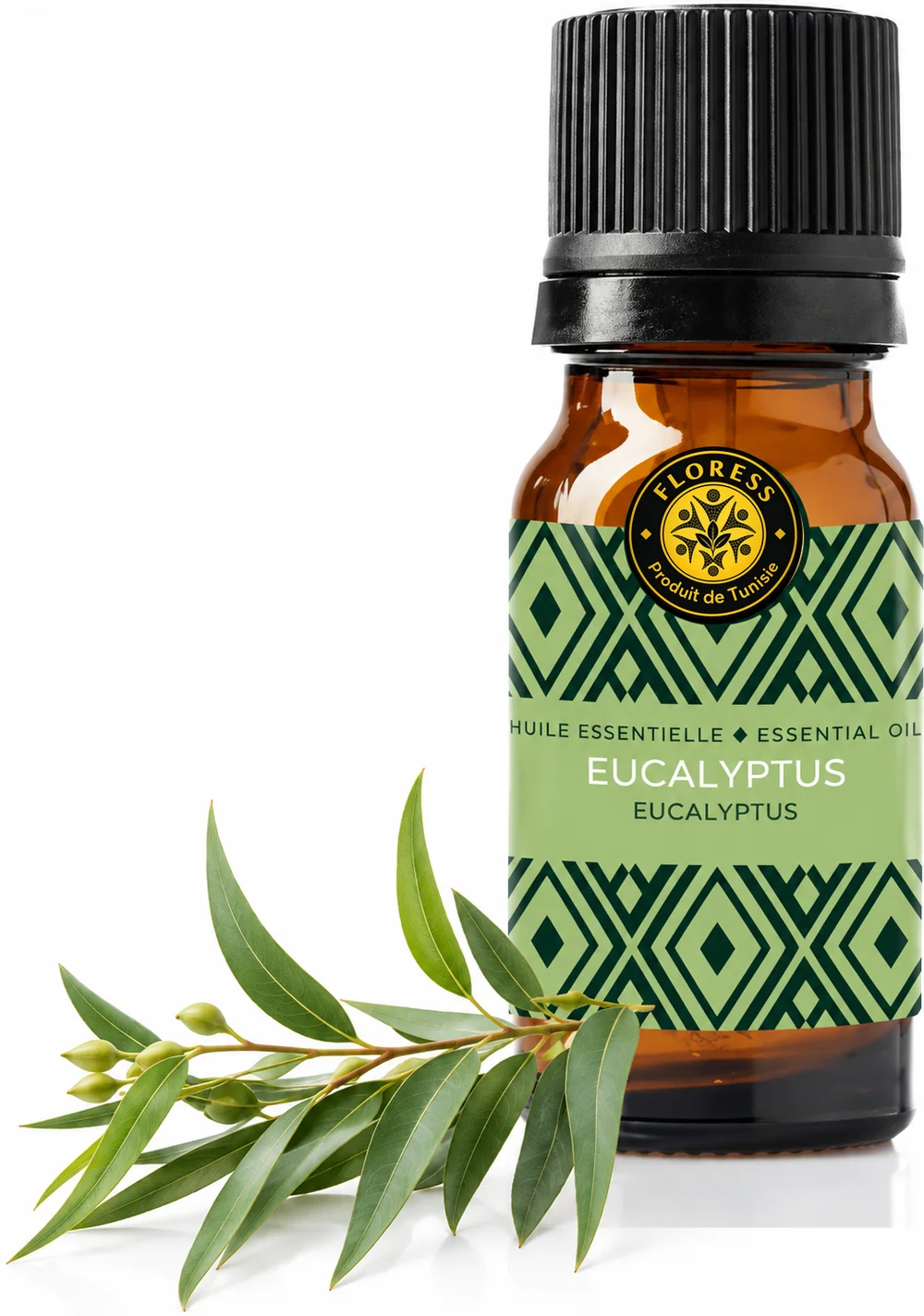 Eucalyptus