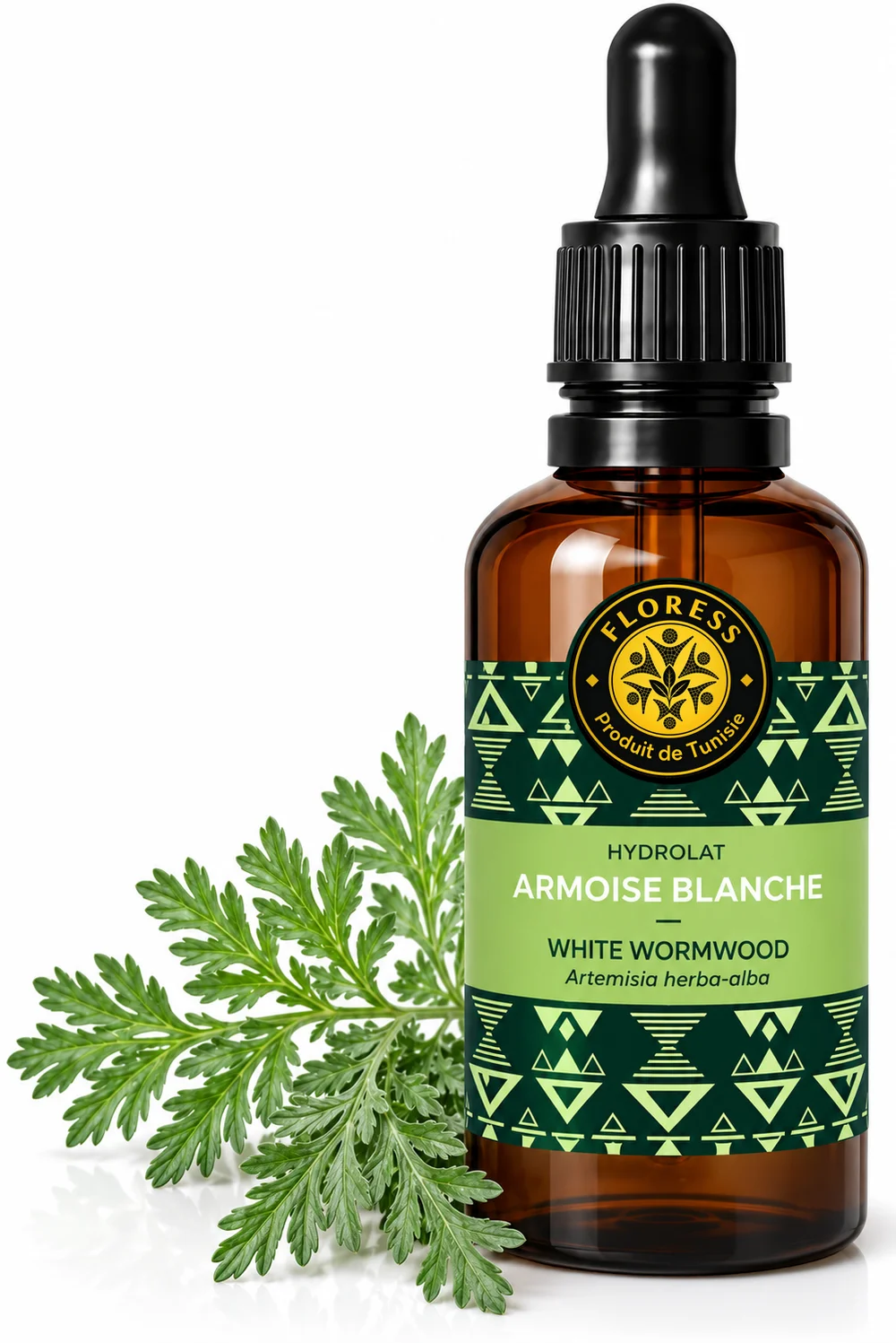 Armoise blanche