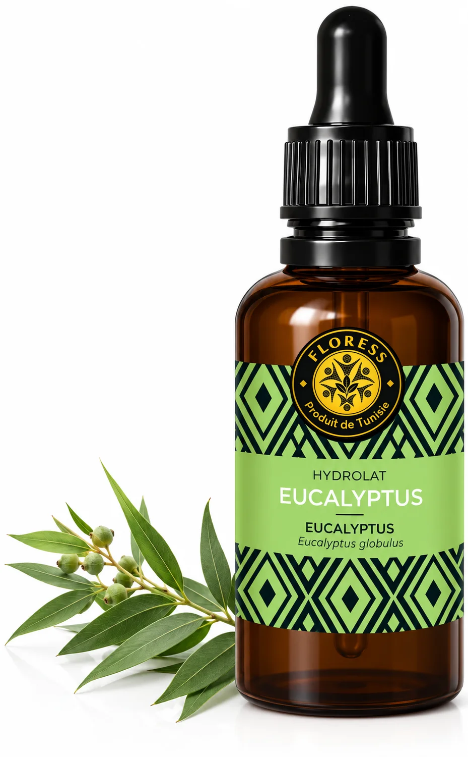Eucalyptus