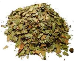 Feuilles de myrte
